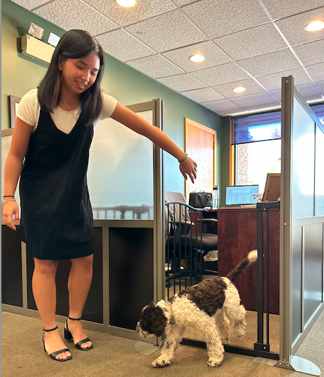 Kate Harriman and a dog existing an office cubicle.