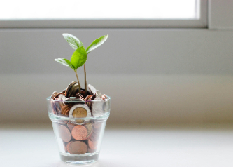 Plant sprouting out of a jar of coins.