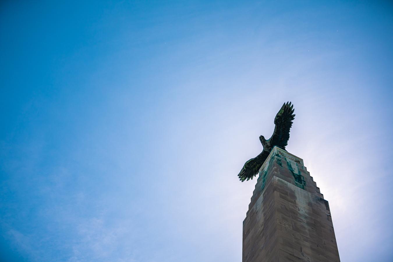 Bronze statue of eagle