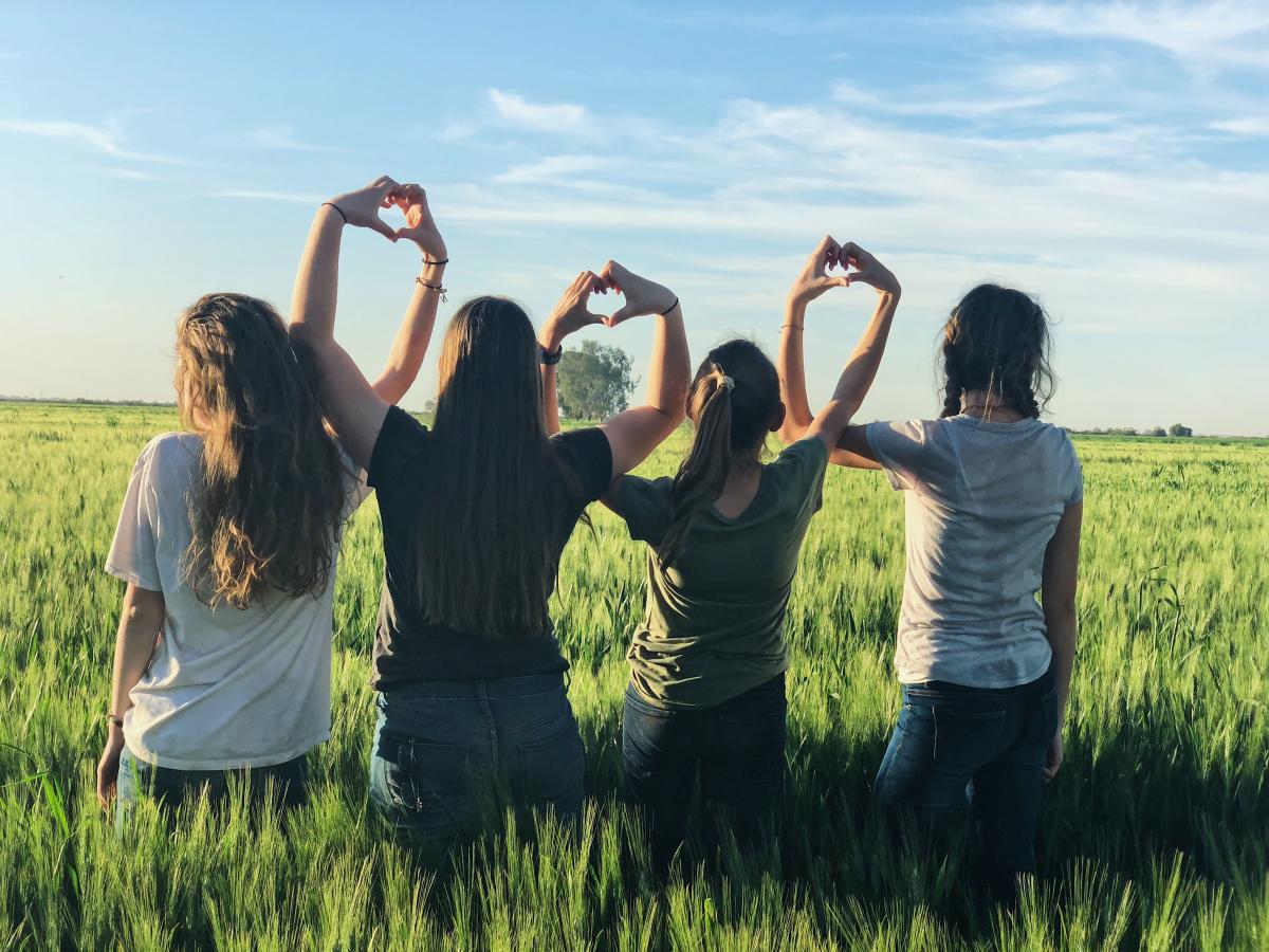 A group of 4 teens, backs toward camera.