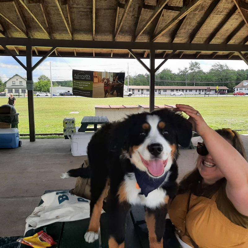 A dog and its owner under a pavilion at Bark in the Park in tupper lake