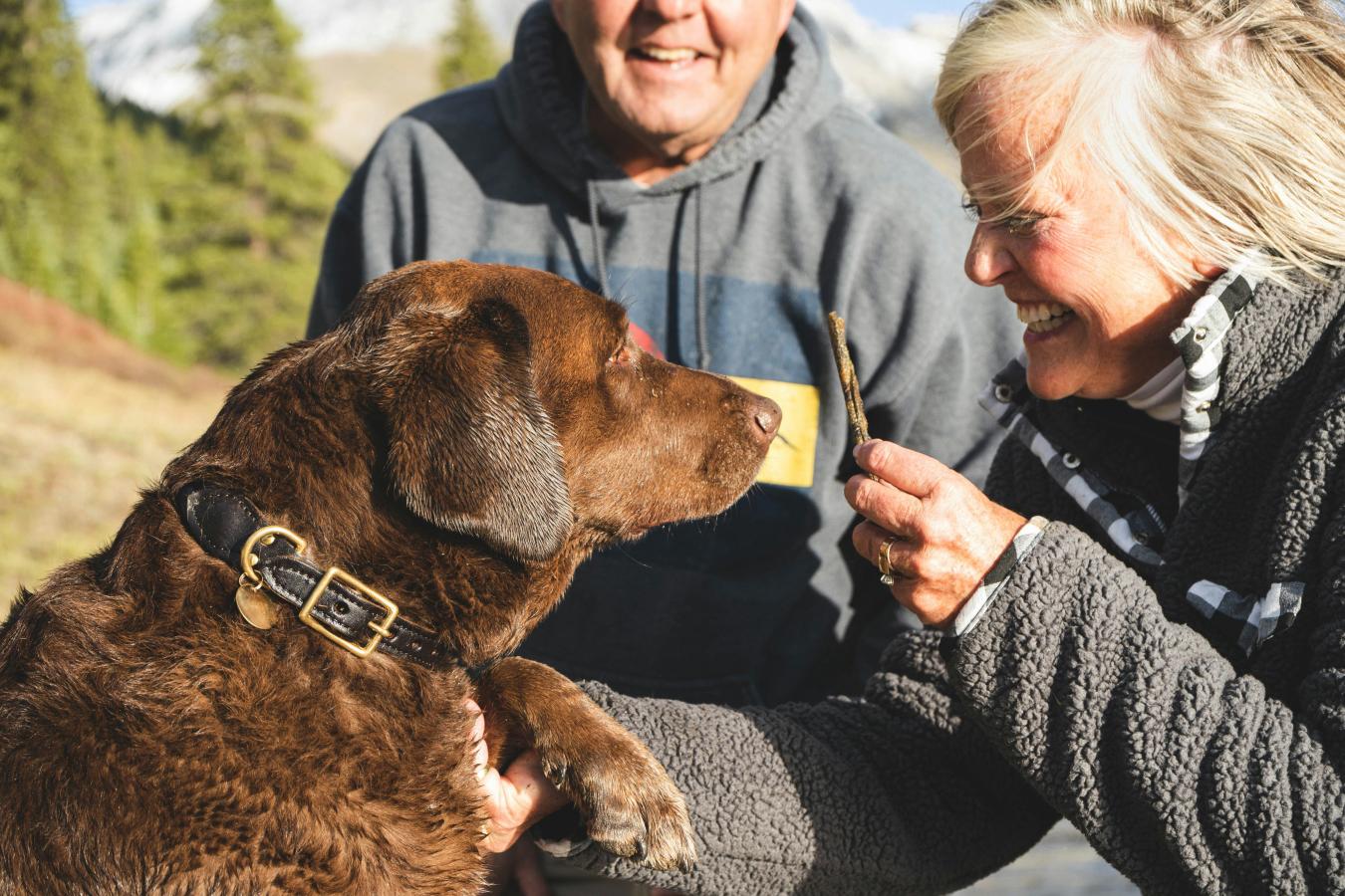 Matt Griffin's Northern Adirondack Pet Fund is on a mission to ensure no pet goes without care. Learn how his personal loss sparked a community-focused initiative.