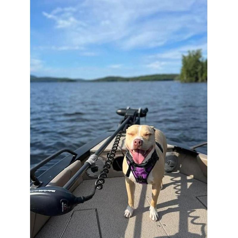 Kena on the front of a fishing boat on an Adirondack Lake