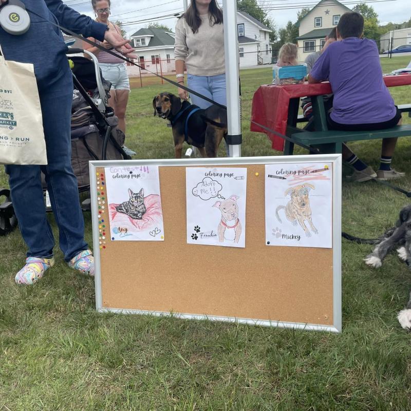 Bark In the Park Dog Coloring Contest Entries